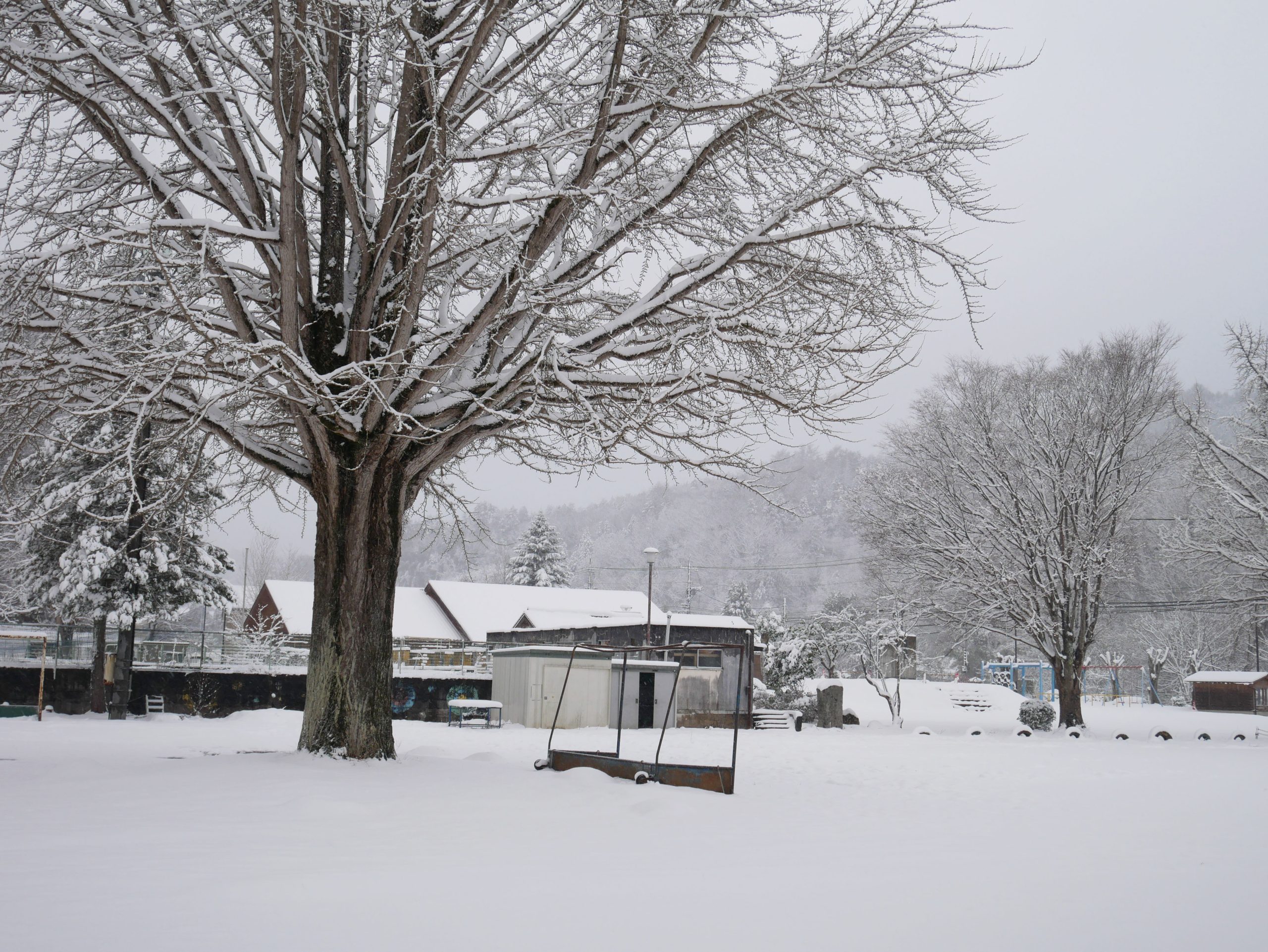 年末年始休暇のお知らせと新年のご挨拶